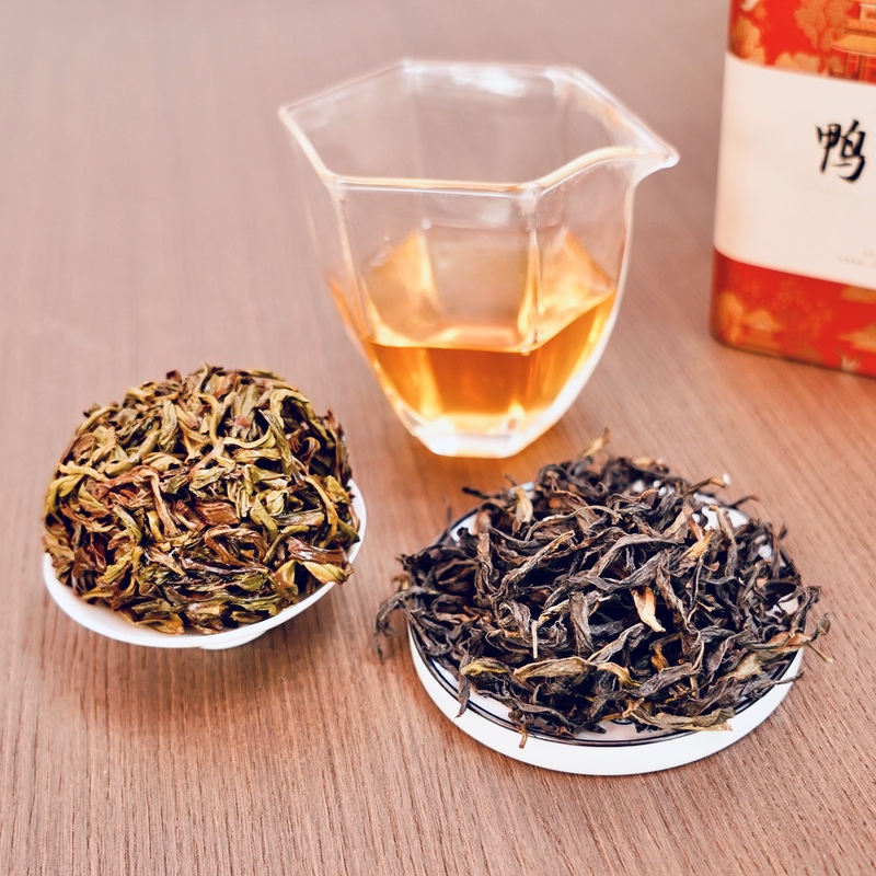 栳丛记鸭屎香凤凰单丛经典铁罐装2024（125g）